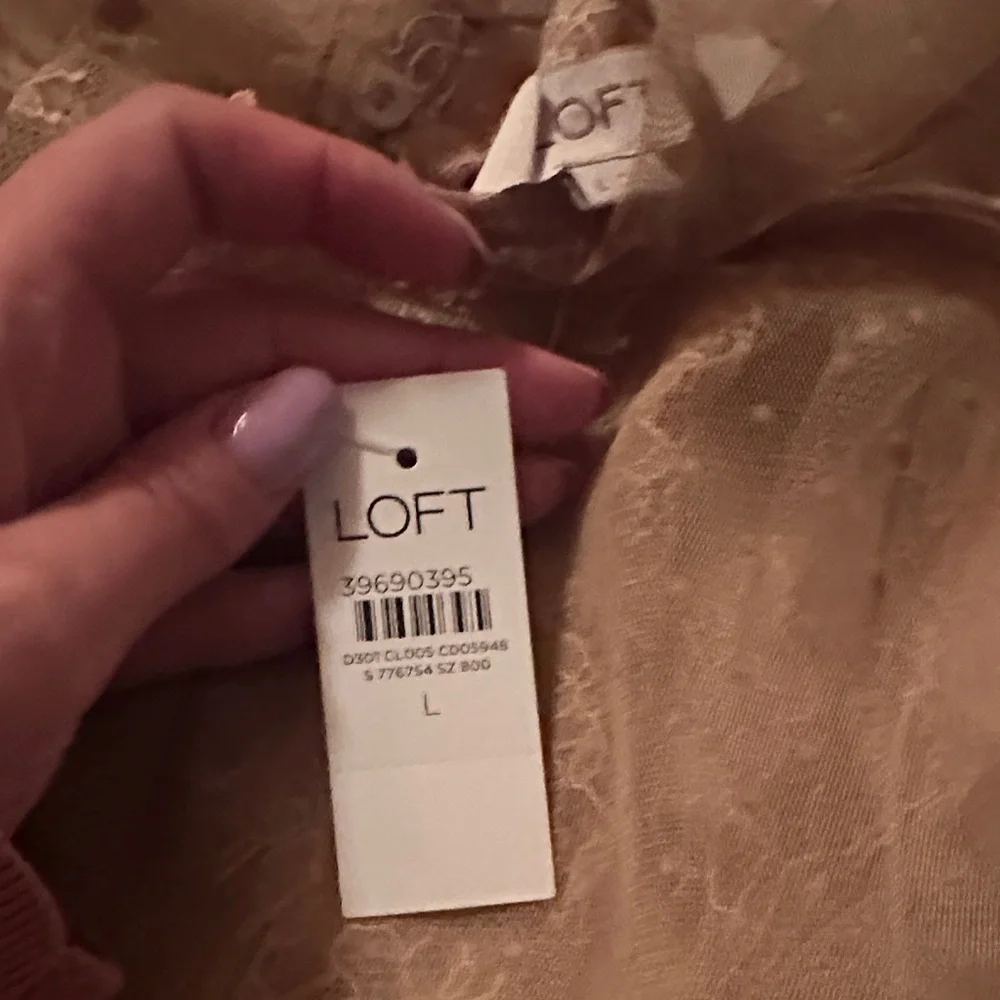 LOFT Velvet Dotted Chantilly Lace Ruffle Top - Picture 7 of 8